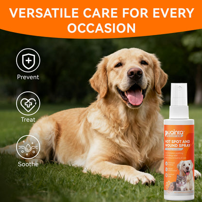 Puainta® Quantum Silver Skin Spray for Dogs and Cats